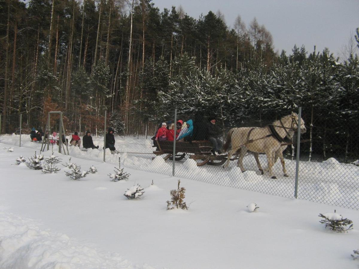 Lesny Dworek Snochowice Экстерьер фото