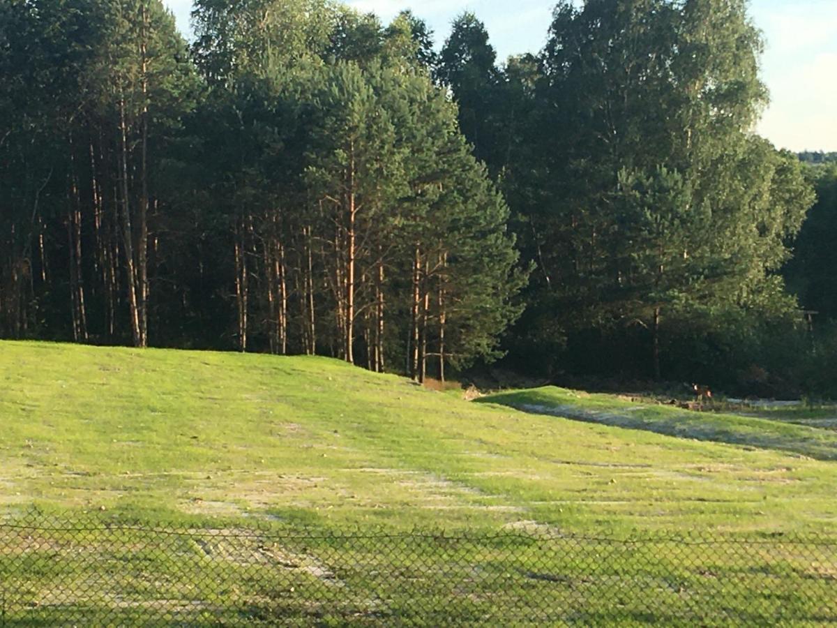 Lesny Dworek Snochowice Экстерьер фото